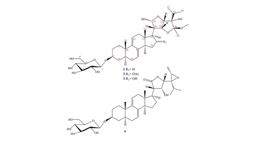 Nghiên cứu hoạt tính ức chế α-amylase và α-glucosidase in vitro của stigmastane-type steroid saponin mới được chiết xuất từ lá cây Vernonia amygdalina